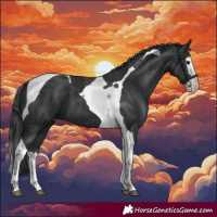 Horse Color:Black Splash Tobiano 