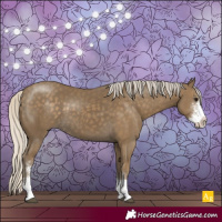 Horse Color:Silver Smoky Black Sabino 
