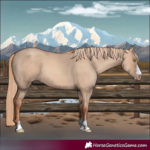 Horse Color:Gold Champagne Dun 