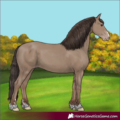 Horse Color:Classic Champagne 