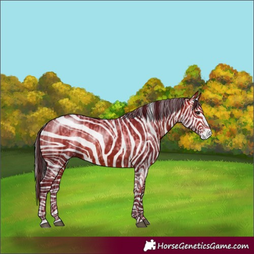 Horse Color:Bay Ice Dun and Bay