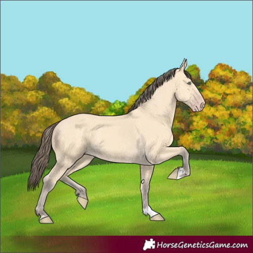 Horse Color:Amber Cream Champagne 