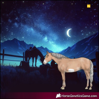 Horse Color:Silver Amber Champagne Frame 