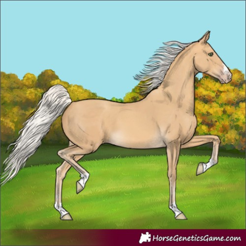Horse Color:Silver Amber Cream Champagne 