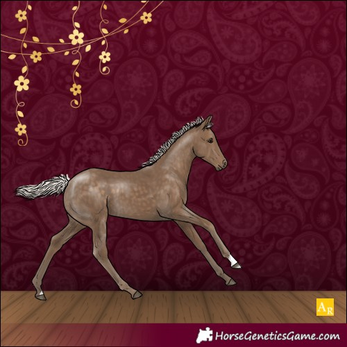 Horse Color:Silver Smoky Black 