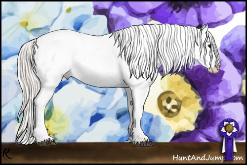 Horse Color:Silver Black Snowflake Varnish 