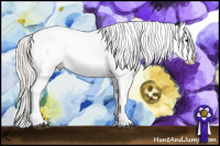Horse Color:Silver Black Snowflake Varnish