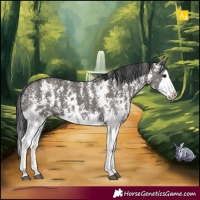 Horse Color:Grullo Sabino Splash and Grullo Sabino Splash