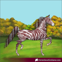 Horse Color:Black Varnish Rabicano 