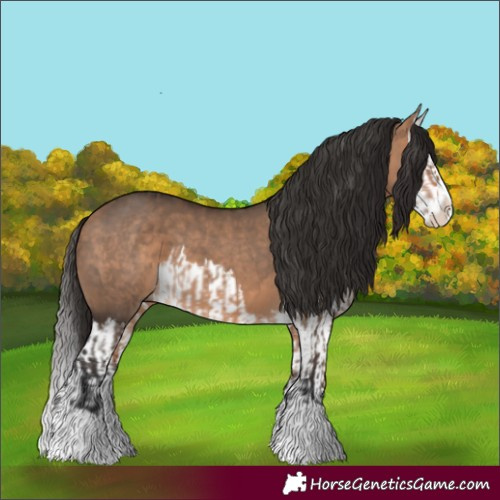 Horse Color:Bay Dun Splash and Bay Dun Splash
