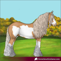Horse Color:Chestnut Splash Frame