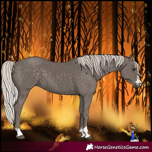 Horse Color:Silver Black 
