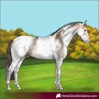 Horse Color:White Spotted Buckskin Dun Tobiano