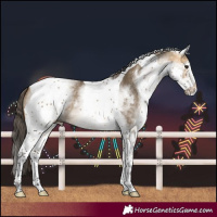 Horse Color:White Spotted Buckskin Dun Tobiano 