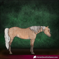Horse Color:Bay Dun and Silver Bay Dun