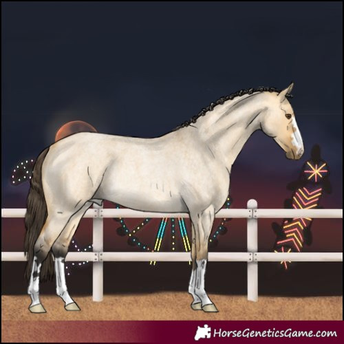 Horse Color:Buckskin Roan Dun Rabicano 