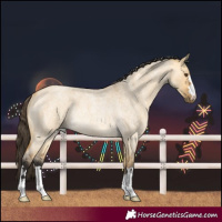 Horse Color:Buckskin Roan Dun Rabicano