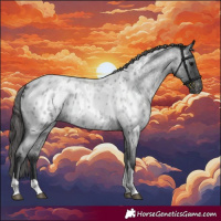 Horse Color:Blue Roan Tobiano Appaloosa