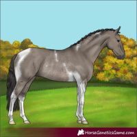 Horse Color:Smoky Grullo Tobiano Rabicano