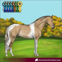 Horse Color:Liver Red Dun Sabino Tobiano Rabicano  and Chocolate Palomino Dun Tobiano Rabicano 