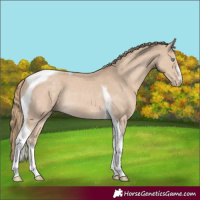 Horse Color:Smoky Creme Tobiano Rabicano 