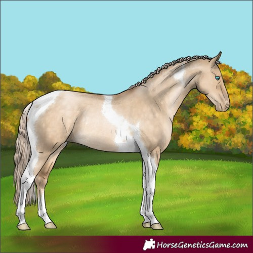 Horse Color:Chocolate Palomino Snowdrop Dun Tobiano Rabicano 