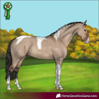 Horse Color:Liver Red Dun Sabino Tobiano Rabicano