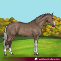 Horse Color:Silver Brown Dun Sabino Tobiano Rabicano