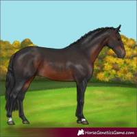 Horse Color:Brown 