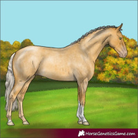Horse Color:Silver Sable Cream Champagne Roan Tobiano Rabicano