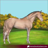 Horse Color:Gold Champagne Tobiano Rabicano
