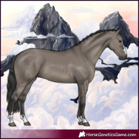 Horse Color:Grullo