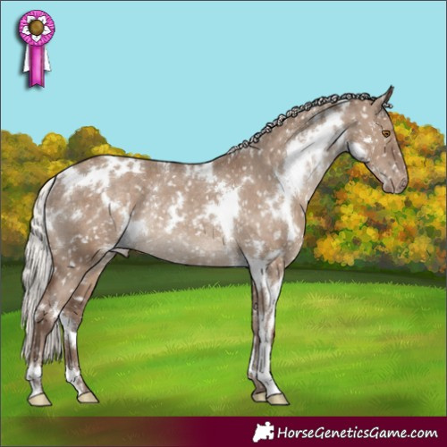 Horse Color:White Spotted Silver Grullo Appaloosa Rabicano 