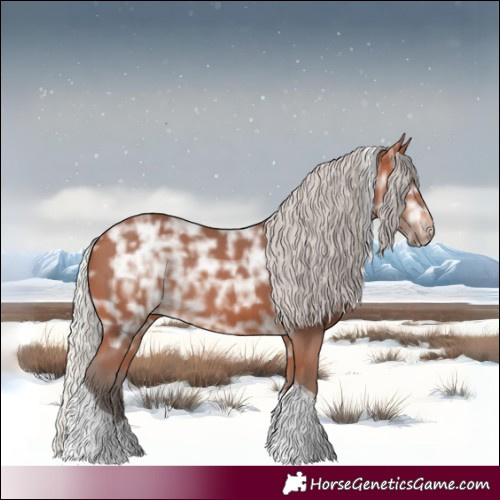 Horse Color:Silver Bay Ice Tobiano Rabicano 