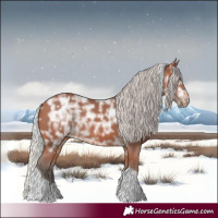 Horse Color:Silver Bay Ice Tobiano Rabicano 