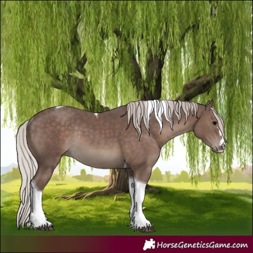 Horse Color:Silver Black Tobiano Rabicano 