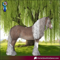 Horse Color:Silver Black Tobiano Rabicano 