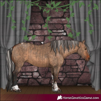 Horse Color:Silver Bay Dun and Brown Dun Tobiano