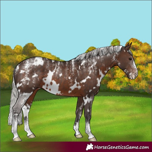 Horse Color:Powder White White Spotted Silver Brown 
