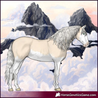 Horse Color:Gold Cream Champagne Splash 