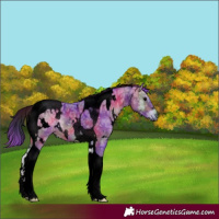 Horse Color:Void Nacre Watercolor White Spotted Chocolate Bay Ice Onyx Tobiano