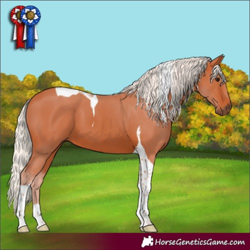 Horse Color:Silver Bay Tobiano 