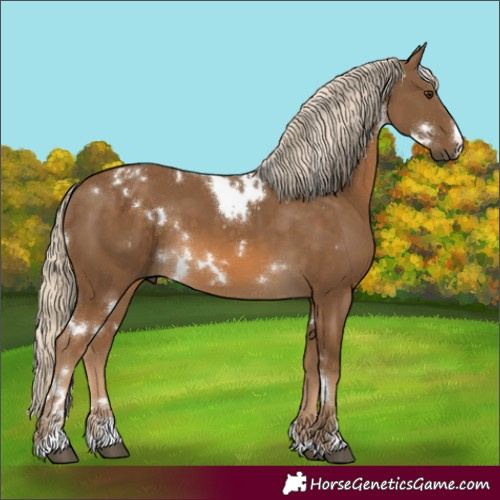 Horse Color:White Spotted Chocolate Palomino 