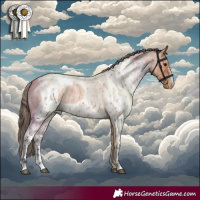 Horse Color:Bay Roan Skewed Appaloosa 