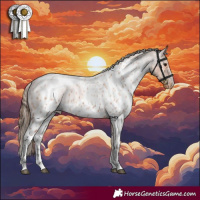 Horse Color:Bay Roan Skewed Appaloosa 