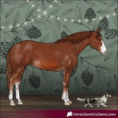 Horse Color:Chestnut and Chestnut