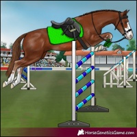 Horse Color:Chestnut  and Chestnut 