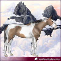 Horse Color:Brown Dun Splash Tobiano 