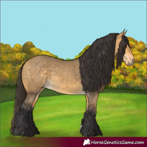 Horse Color:Buckskin Dun  and Buckskin Dun 