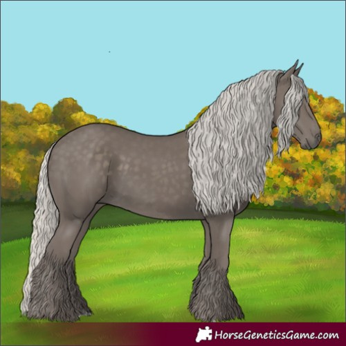 Horse Color:Silver Smoky Black 